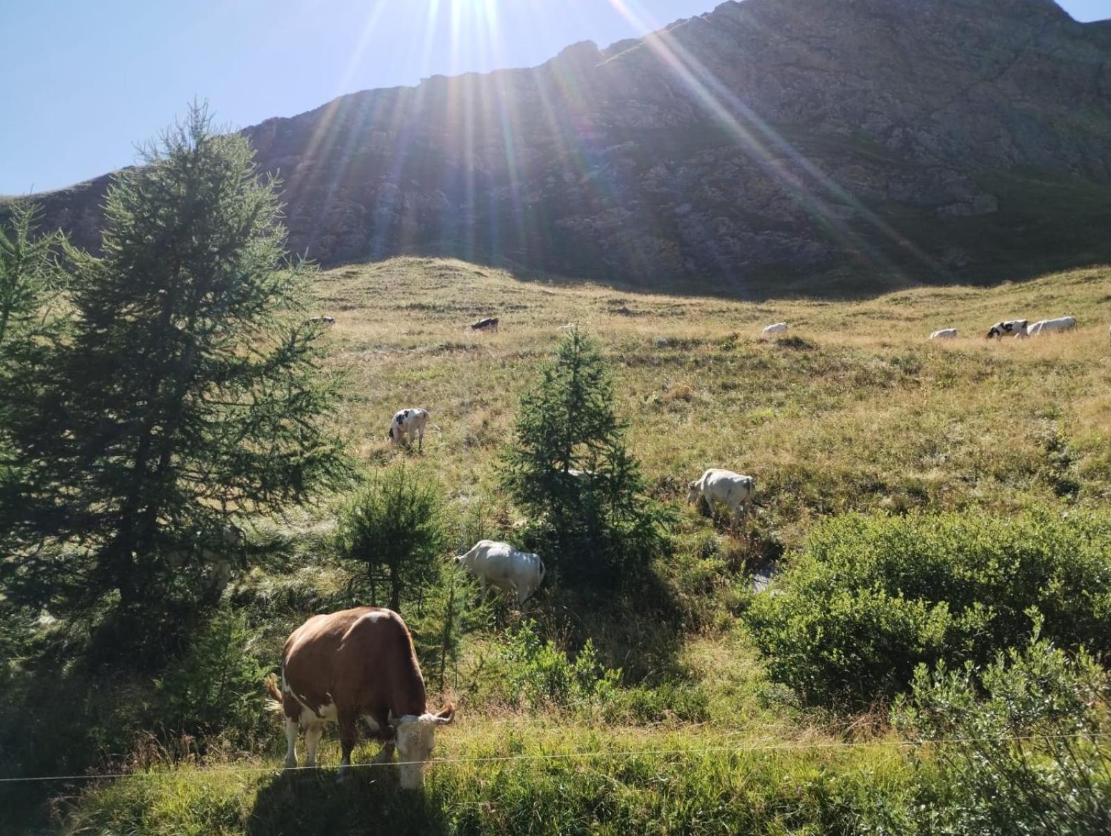 Locazione Turistica Varaita-Brossasco Exteriér fotografie